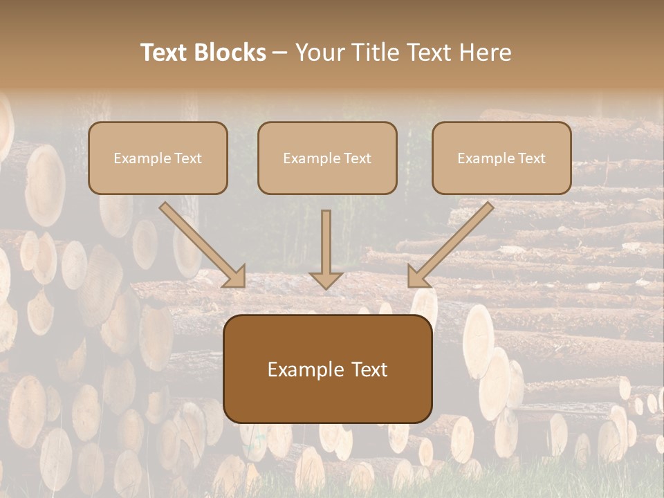 Conifer Plant Nature PowerPoint Template