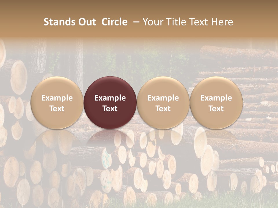 Conifer Plant Nature PowerPoint Template