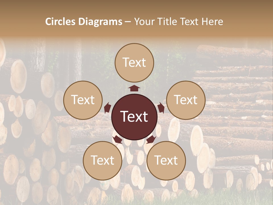 Conifer Plant Nature PowerPoint Template