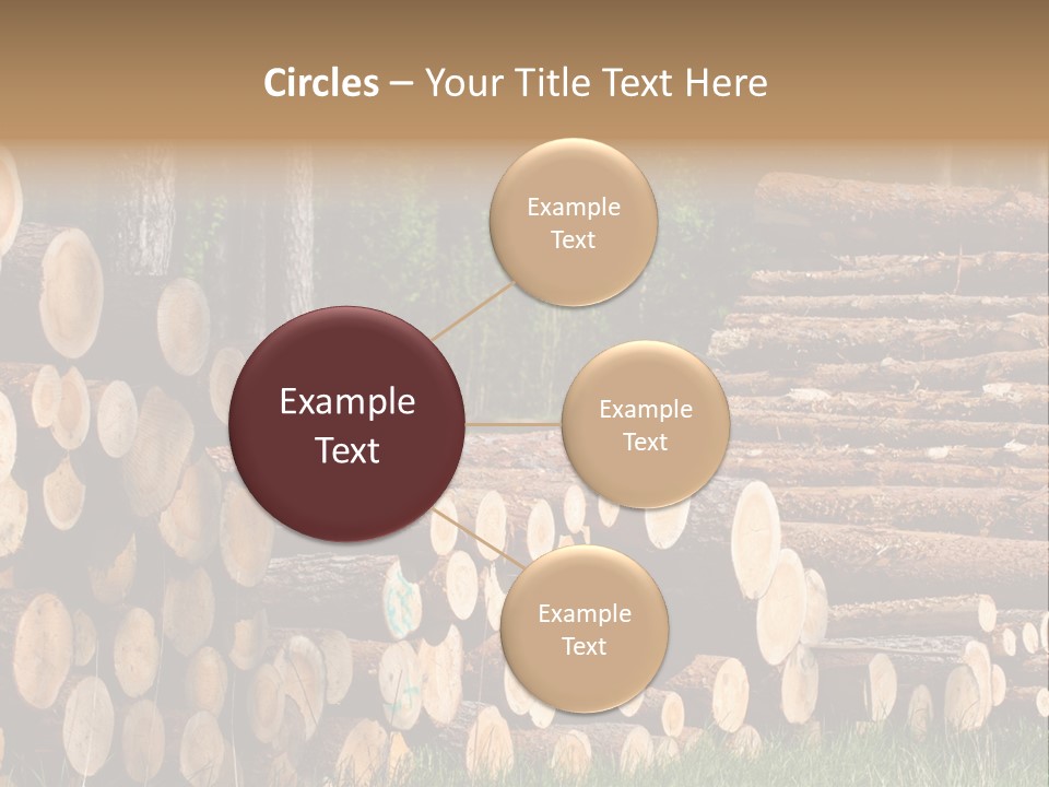 Conifer Plant Nature PowerPoint Template