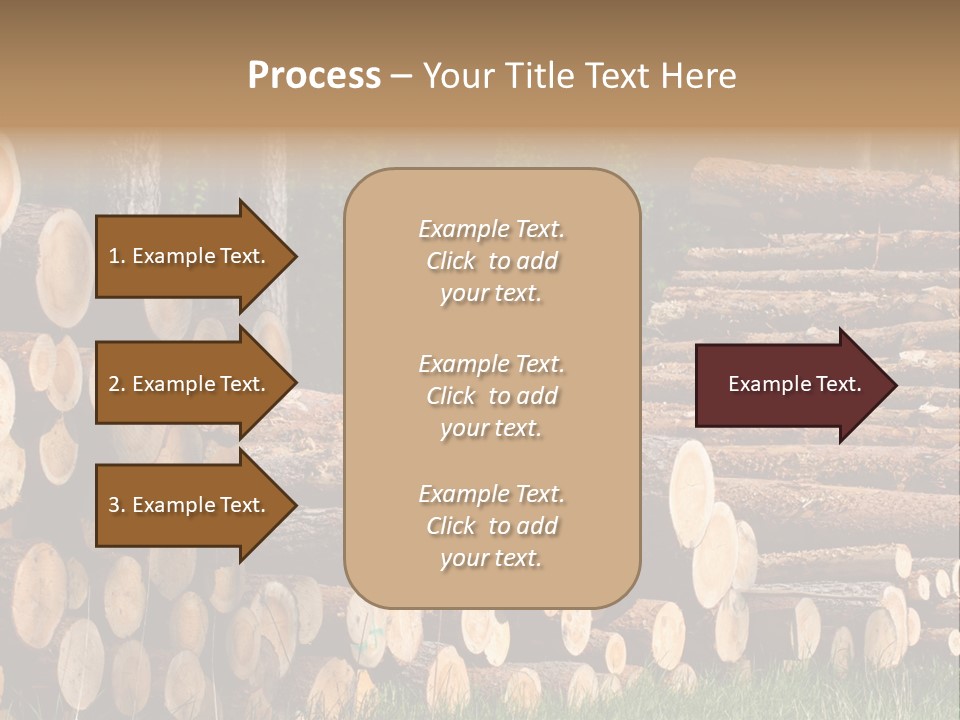 Conifer Plant Nature PowerPoint Template
