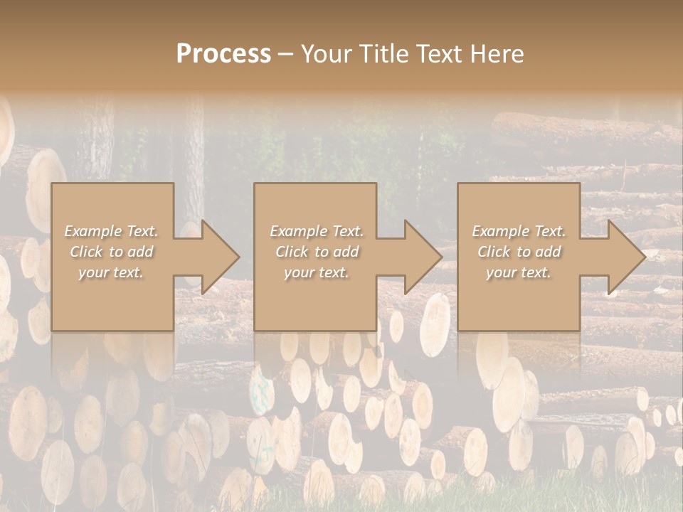 Conifer Plant Nature PowerPoint Template