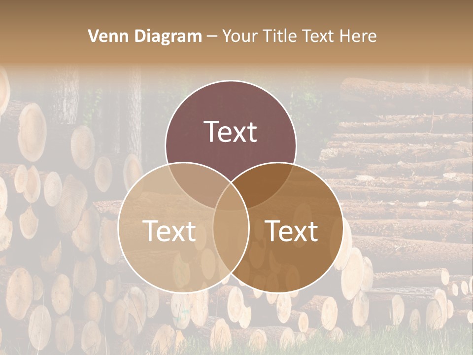 Conifer Plant Nature PowerPoint Template