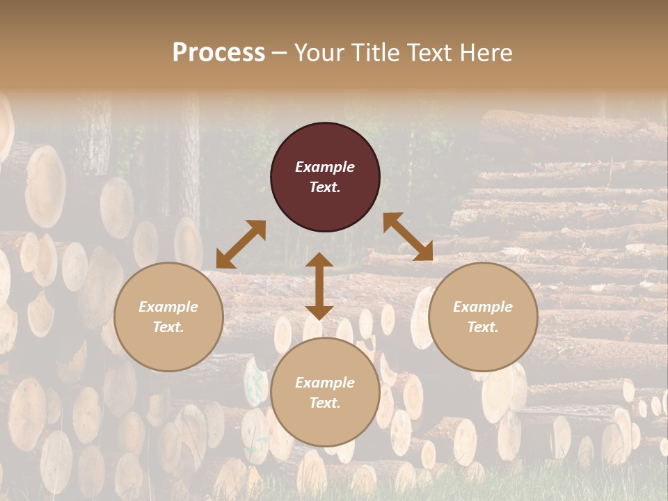Conifer Plant Nature PowerPoint Template