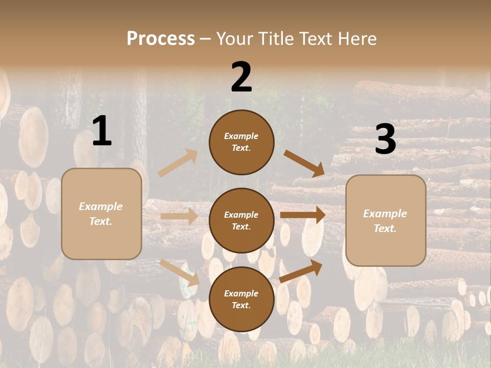 Conifer Plant Nature PowerPoint Template