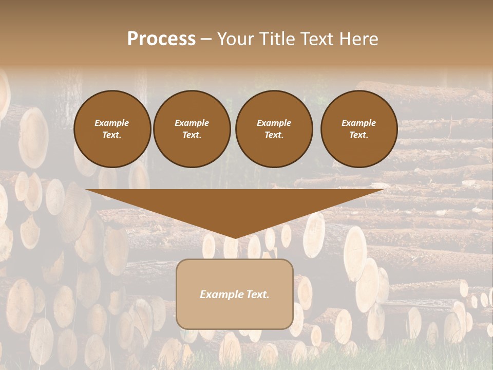 Conifer Plant Nature PowerPoint Template