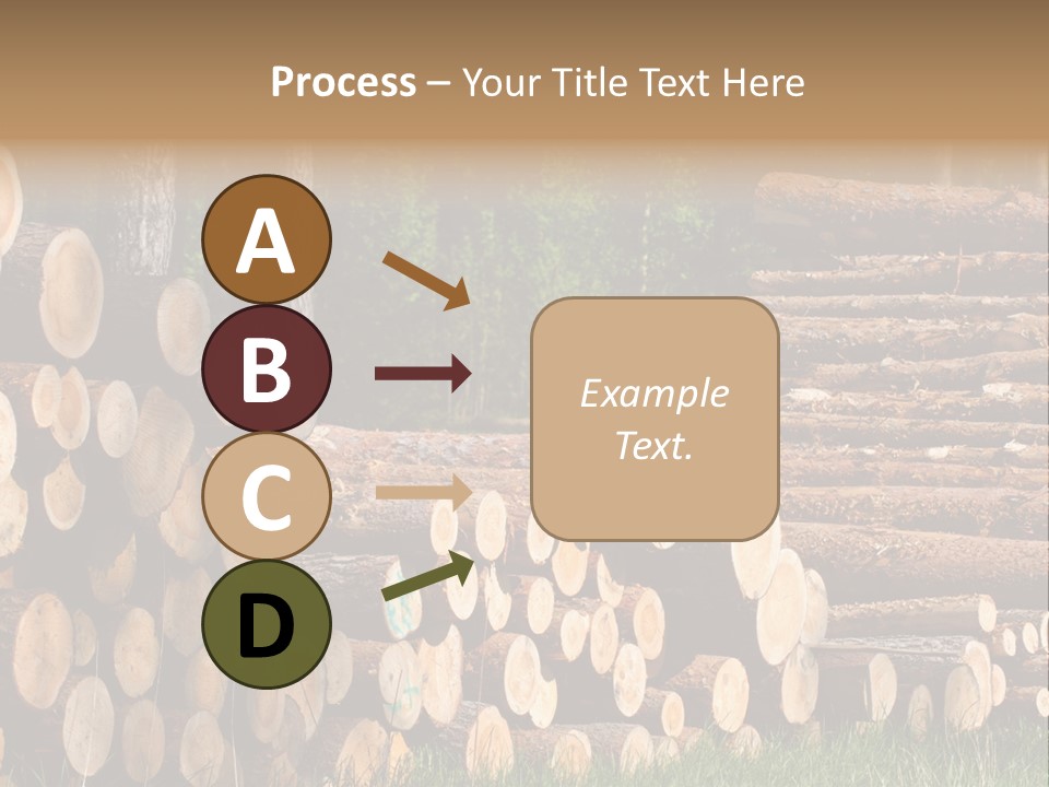 Conifer Plant Nature PowerPoint Template