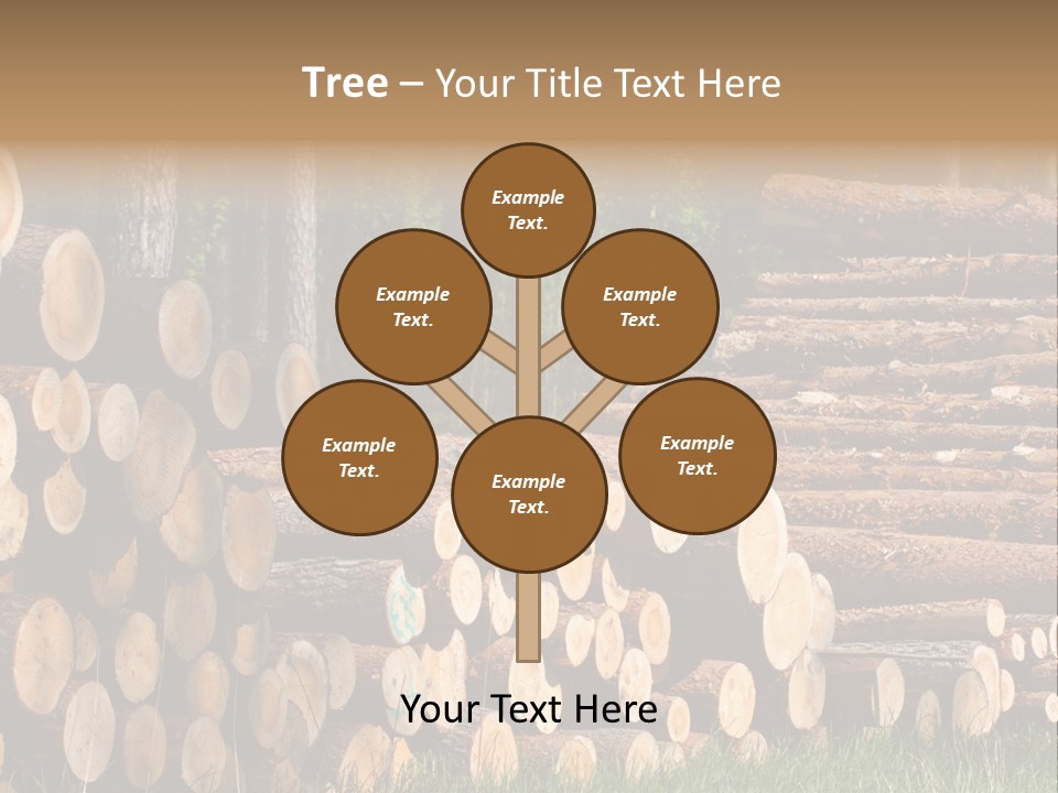 Conifer Plant Nature PowerPoint Template