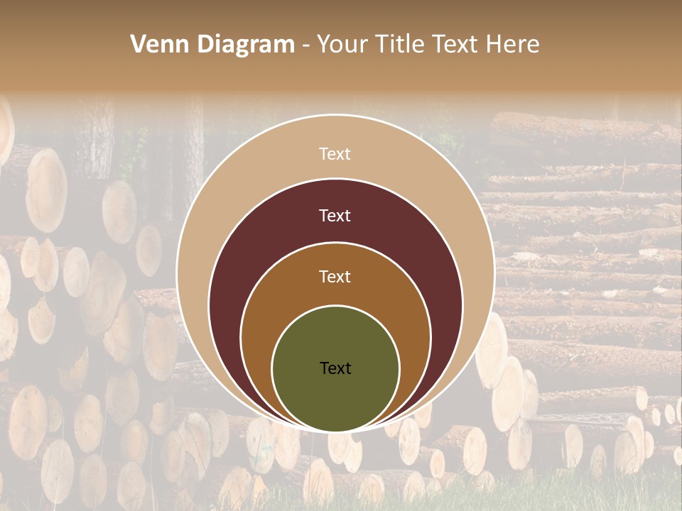 Conifer Plant Nature PowerPoint Template