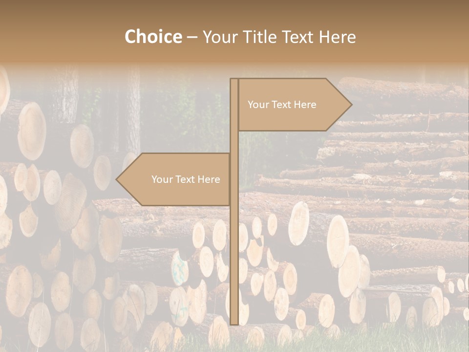 Conifer Plant Nature PowerPoint Template