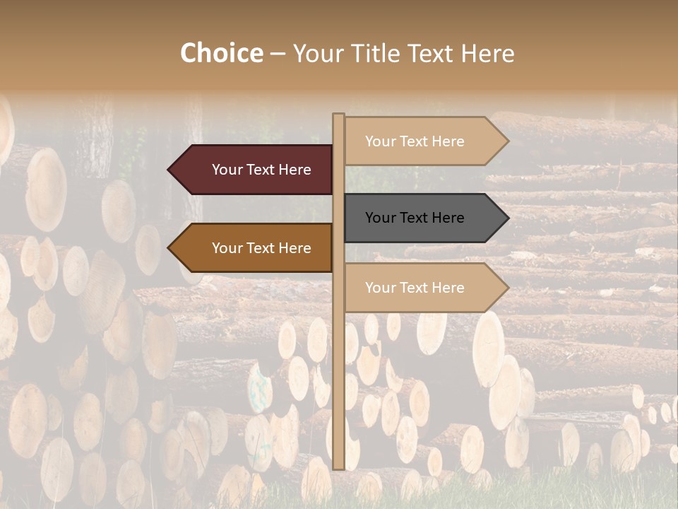 Conifer Plant Nature PowerPoint Template