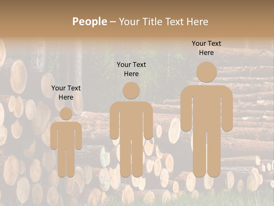 Conifer Plant Nature PowerPoint Template