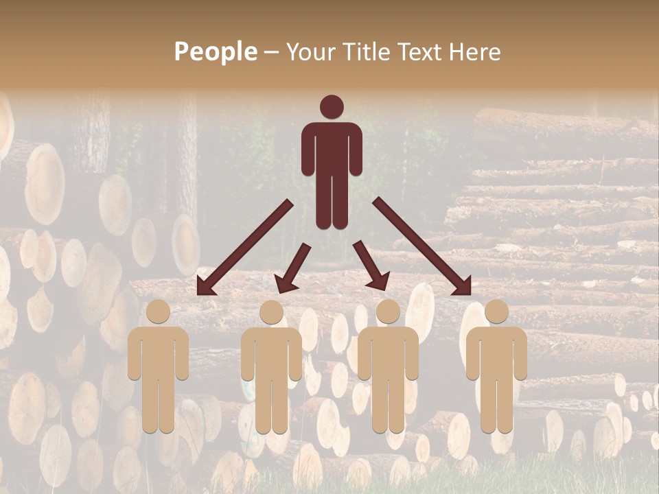 Conifer Plant Nature PowerPoint Template