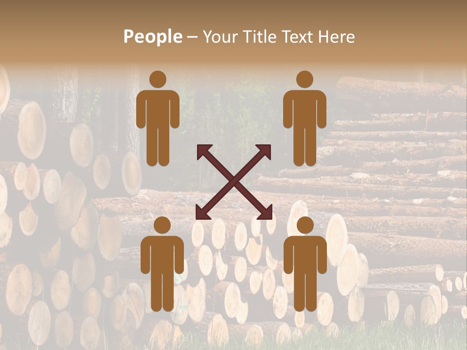 Conifer Plant Nature PowerPoint Template