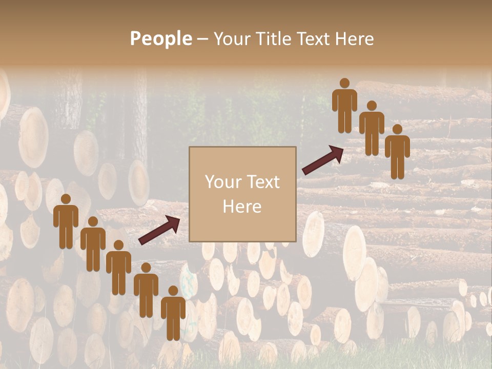 Conifer Plant Nature PowerPoint Template