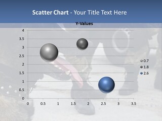 German Training Attack PowerPoint Template