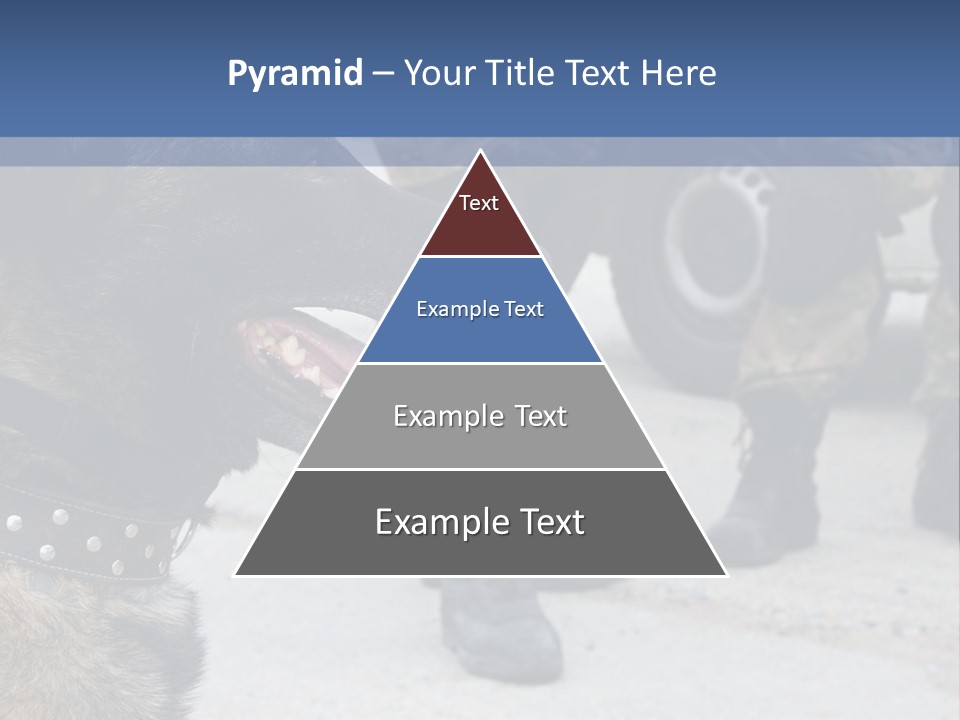 German Training Attack PowerPoint Template