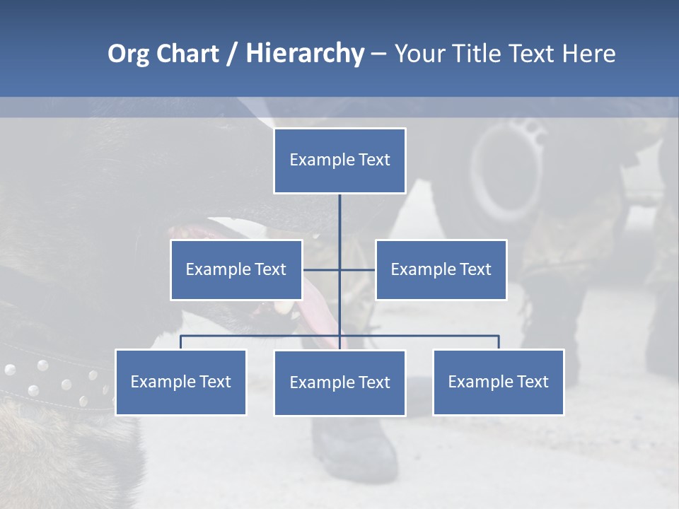 German Training Attack PowerPoint Template