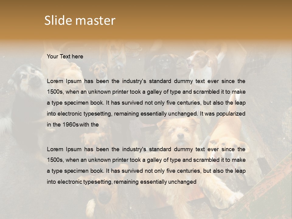 Hungry Hound Eyes PowerPoint Template