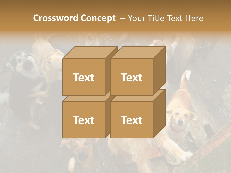 Hungry Hound Eyes PowerPoint Template