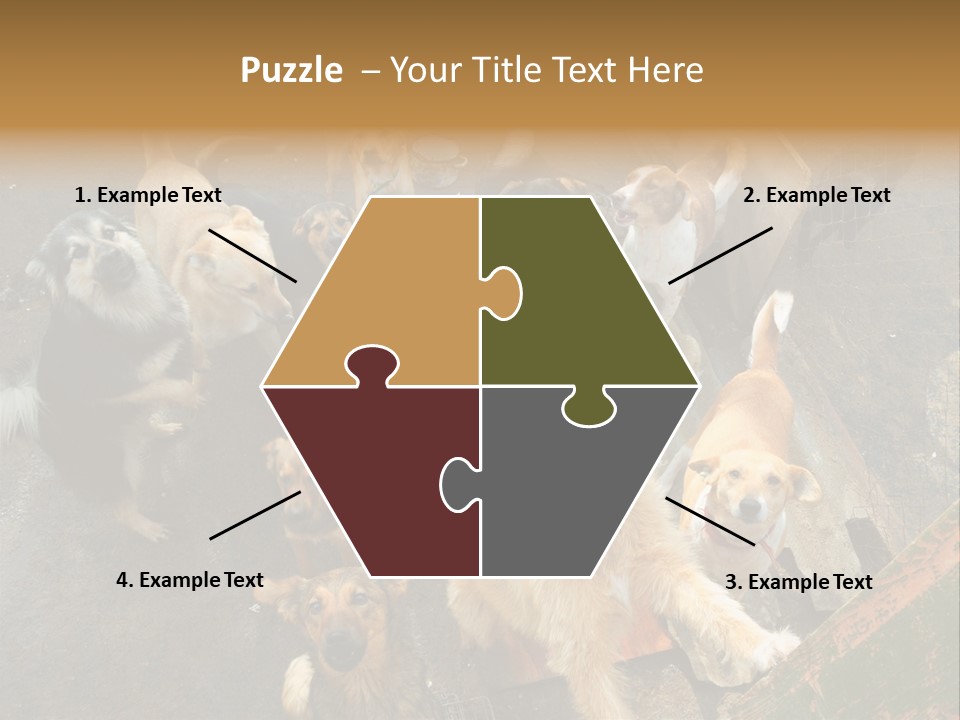 Hungry Hound Eyes PowerPoint Template