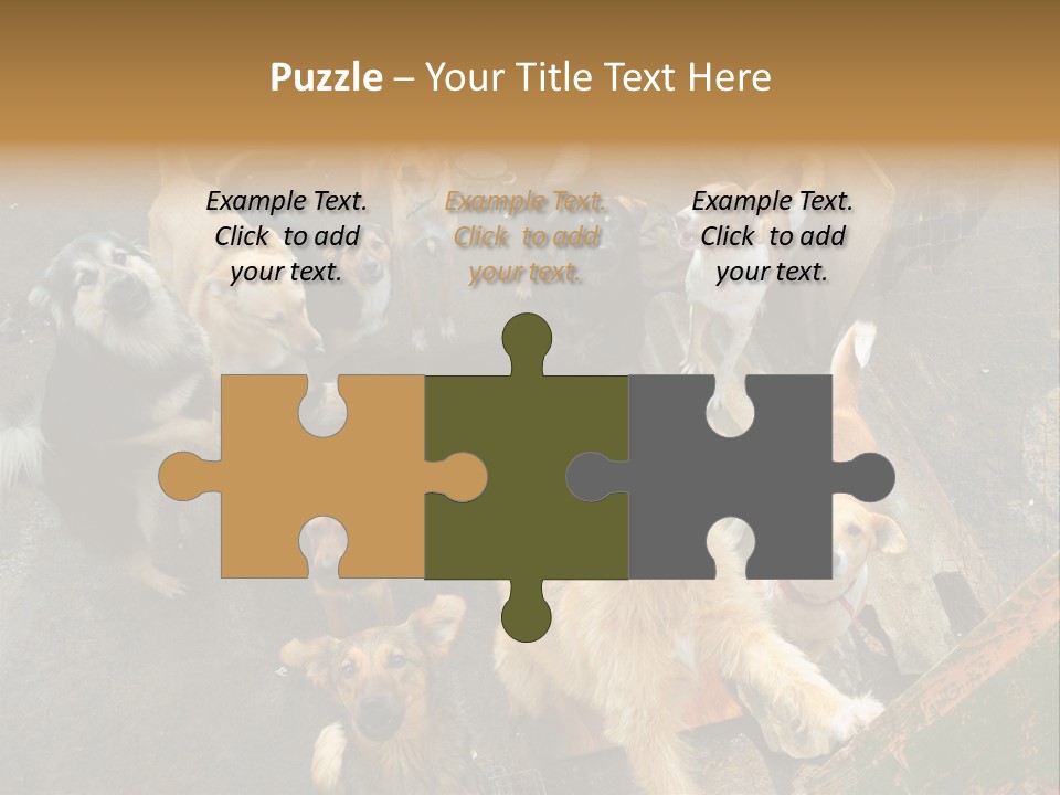 Hungry Hound Eyes PowerPoint Template