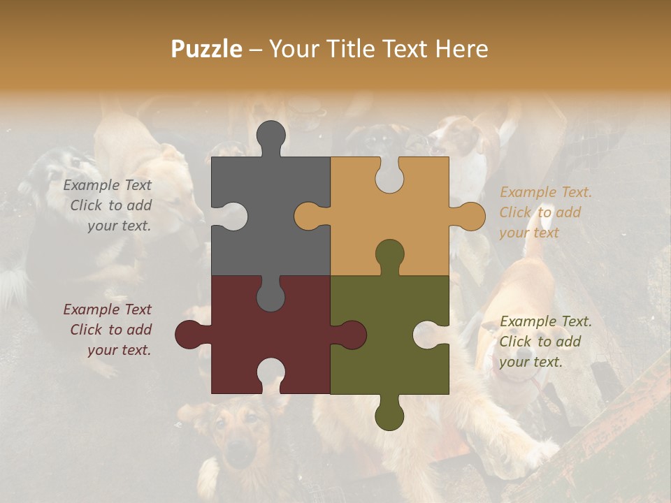 Hungry Hound Eyes PowerPoint Template