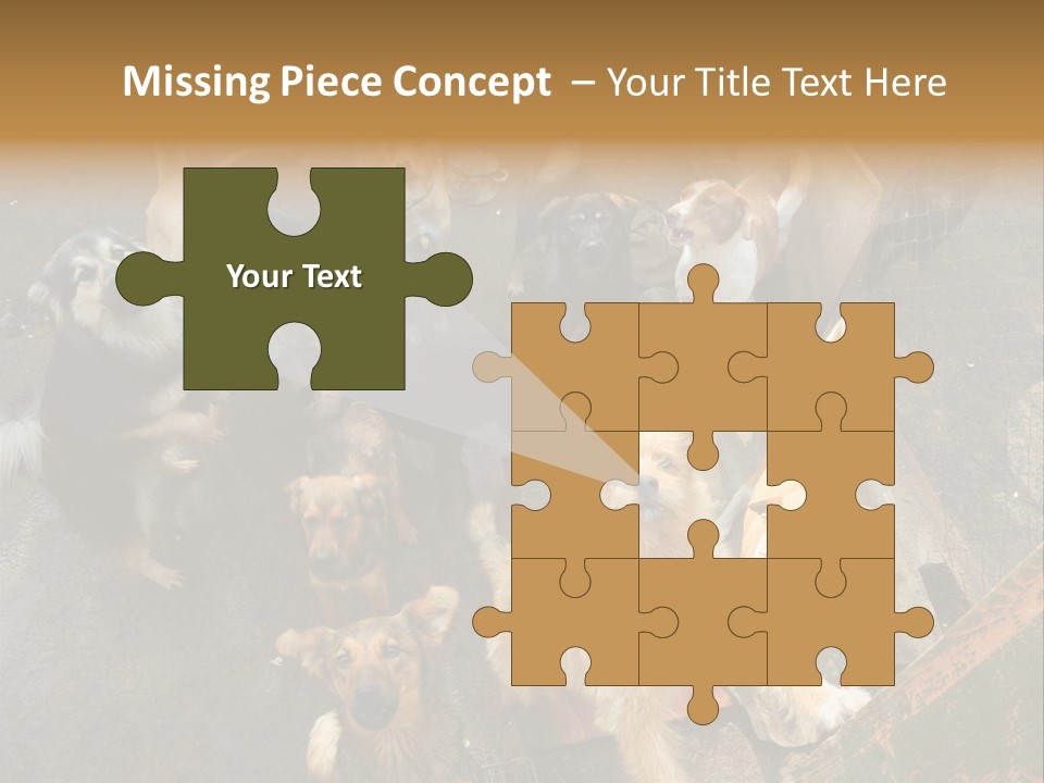 Hungry Hound Eyes PowerPoint Template