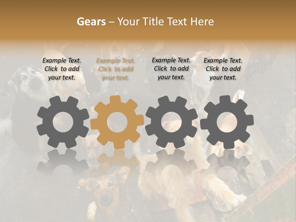 Hungry Hound Eyes PowerPoint Template