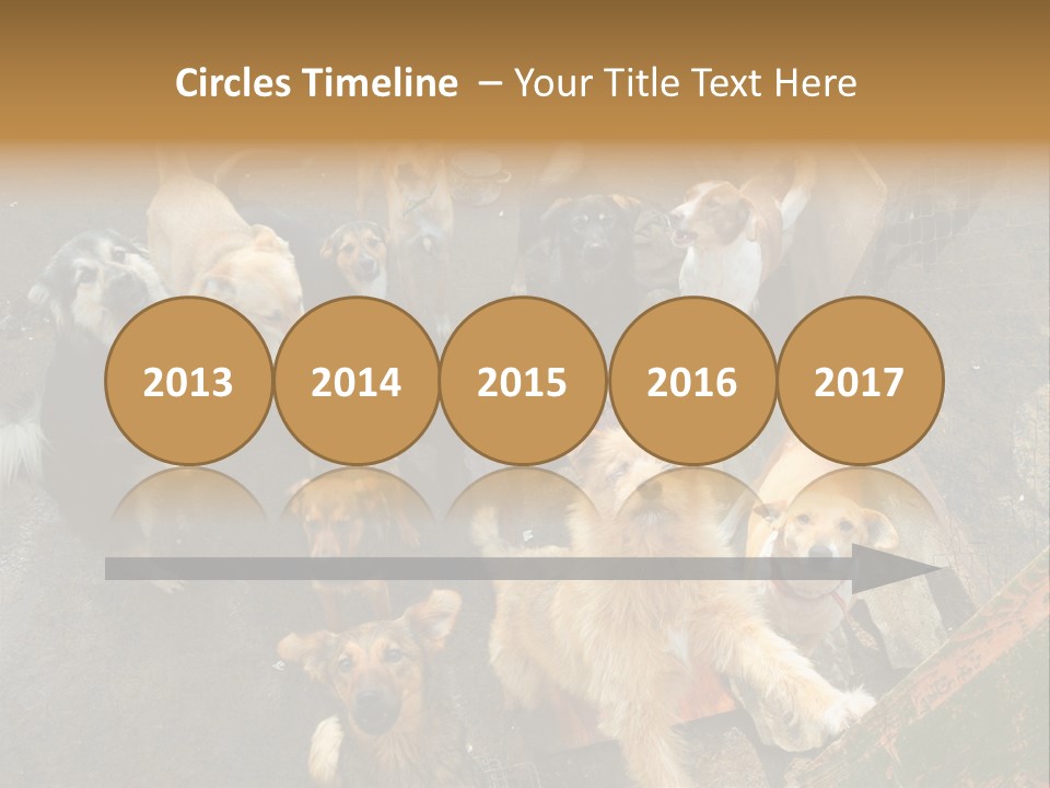 Hungry Hound Eyes PowerPoint Template