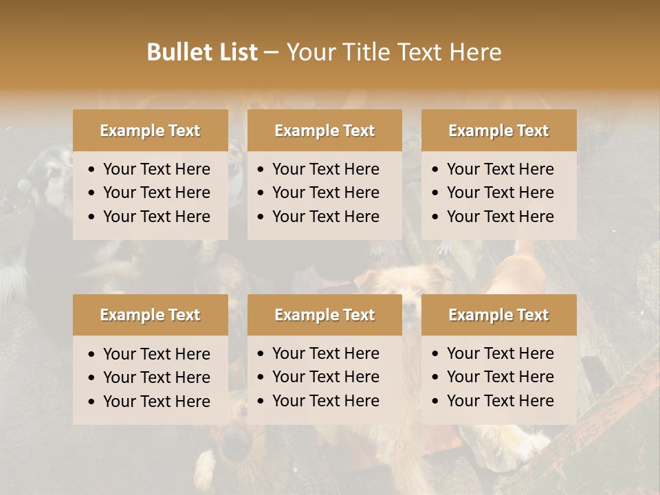 Hungry Hound Eyes PowerPoint Template