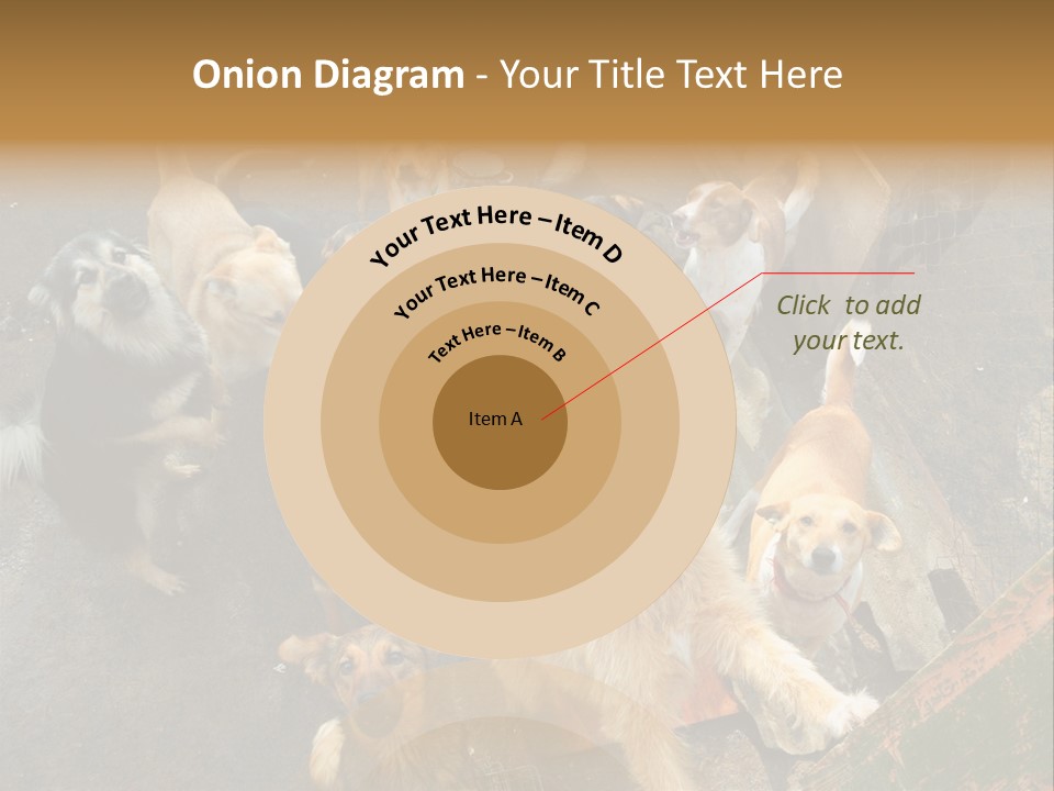 Hungry Hound Eyes PowerPoint Template