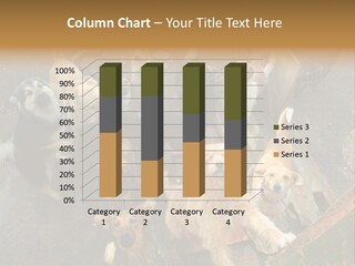 Hungry Hound Eyes PowerPoint Template