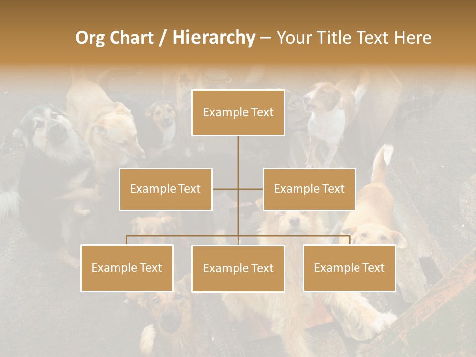 Hungry Hound Eyes PowerPoint Template