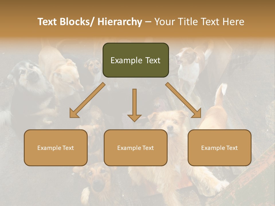 Hungry Hound Eyes PowerPoint Template
