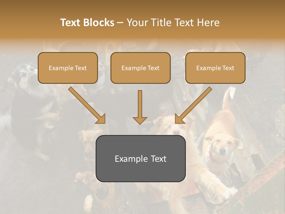 Hungry Hound Eyes PowerPoint Template