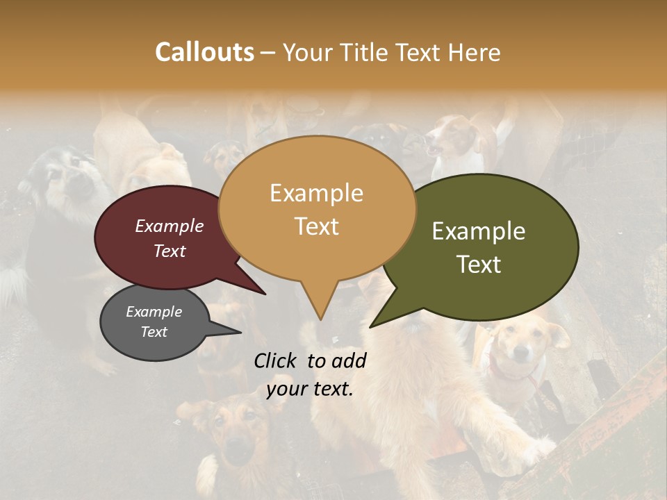 Hungry Hound Eyes PowerPoint Template