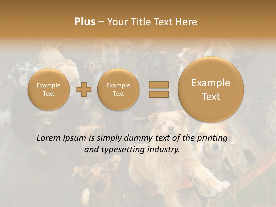 Hungry Hound Eyes PowerPoint Template