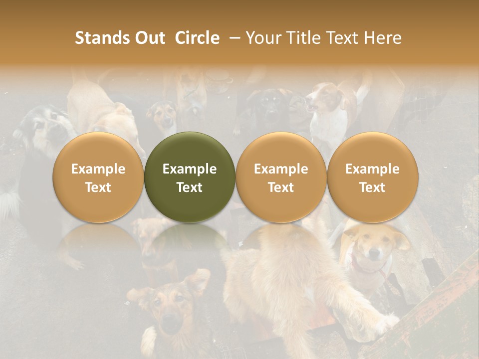 Hungry Hound Eyes PowerPoint Template