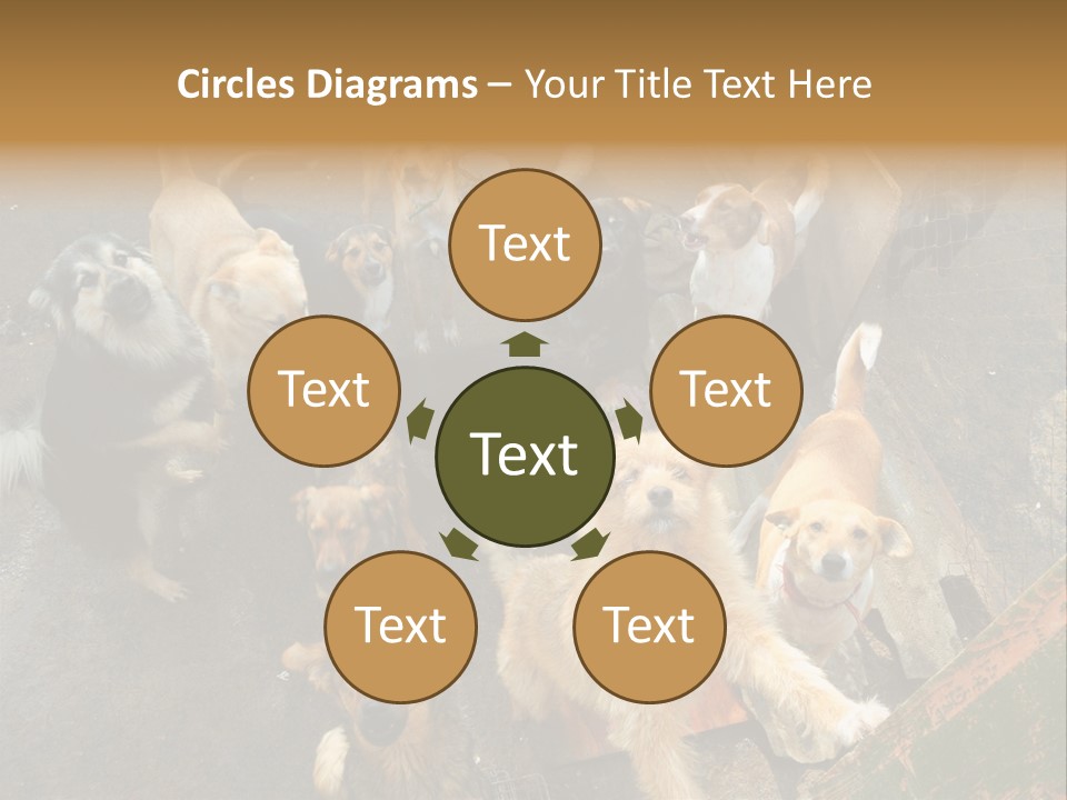 Hungry Hound Eyes PowerPoint Template