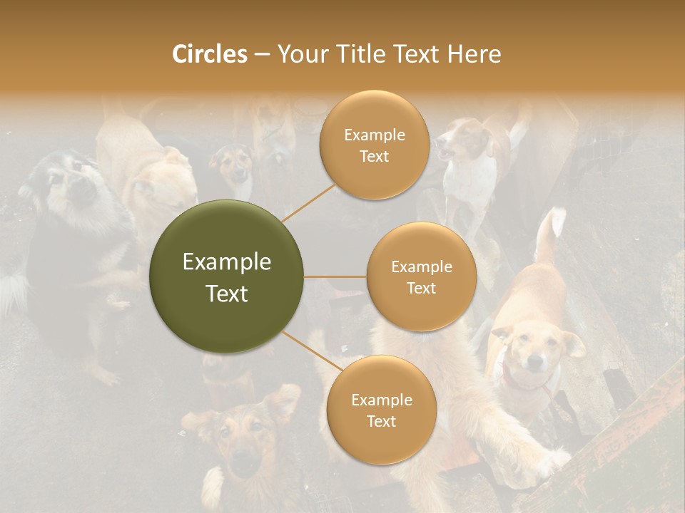 Hungry Hound Eyes PowerPoint Template