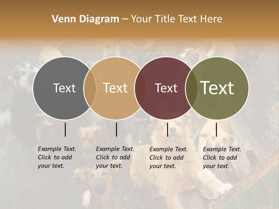 Hungry Hound Eyes PowerPoint Template