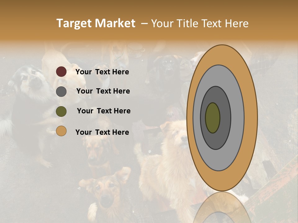 Hungry Hound Eyes PowerPoint Template