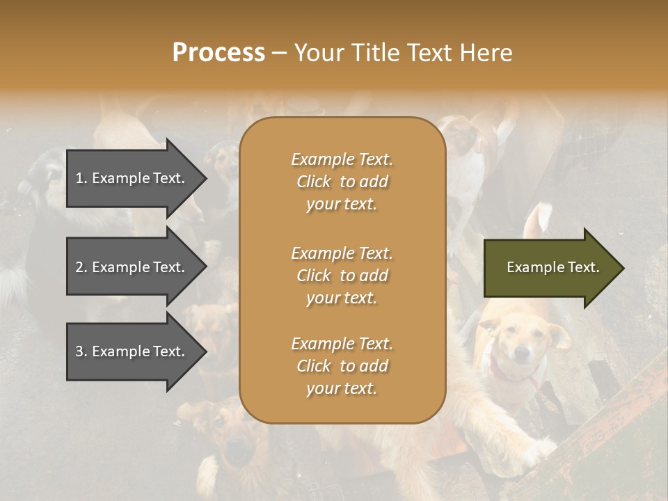 Hungry Hound Eyes PowerPoint Template