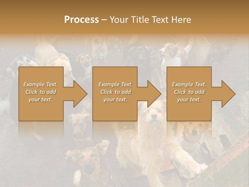 Hungry Hound Eyes PowerPoint Template