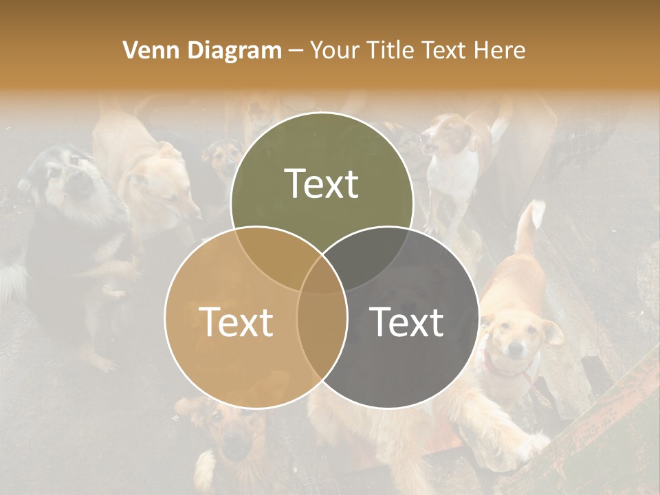 Hungry Hound Eyes PowerPoint Template