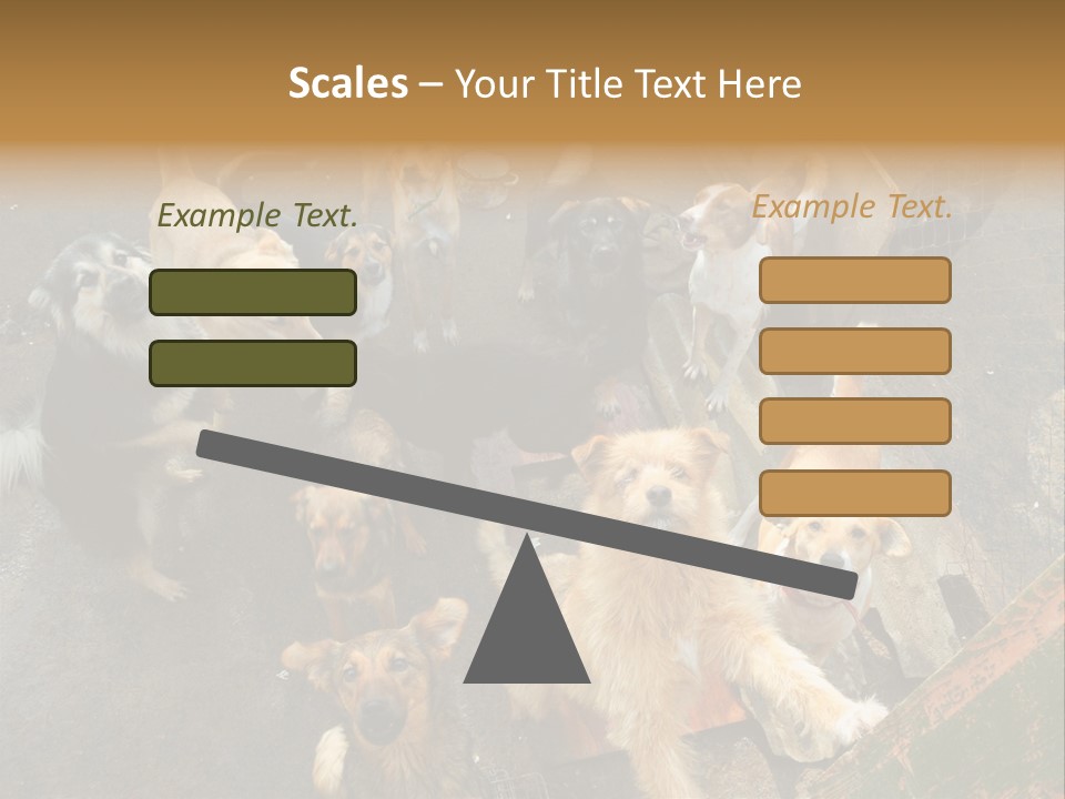 Hungry Hound Eyes PowerPoint Template