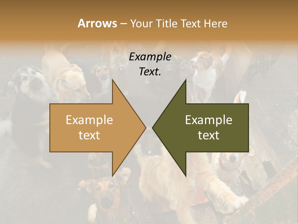 Hungry Hound Eyes PowerPoint Template