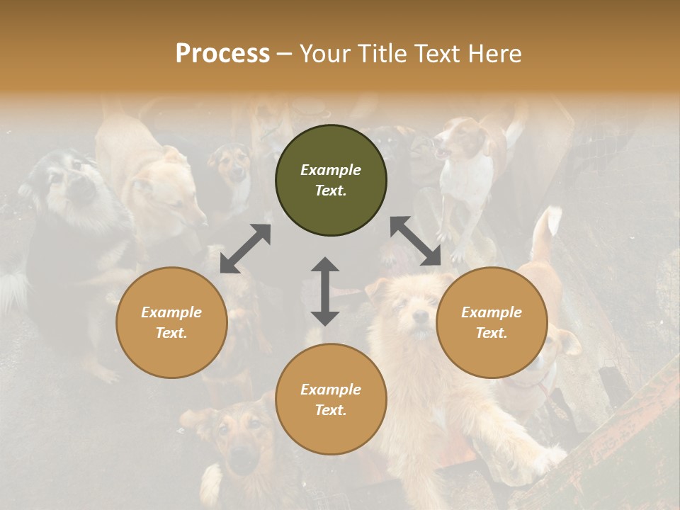 Hungry Hound Eyes PowerPoint Template