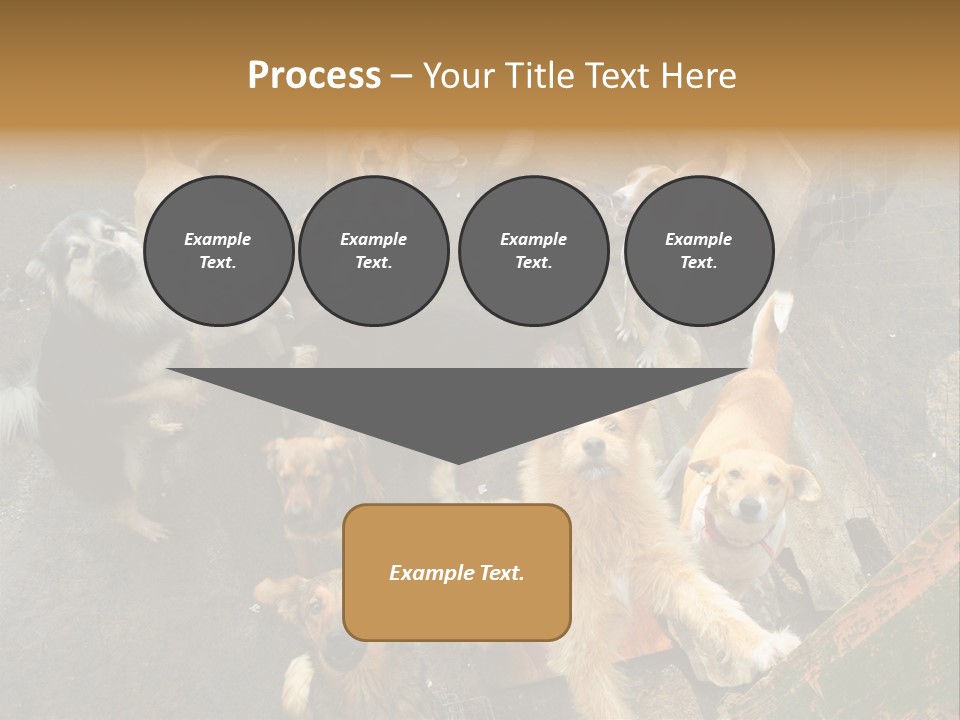 Hungry Hound Eyes PowerPoint Template
